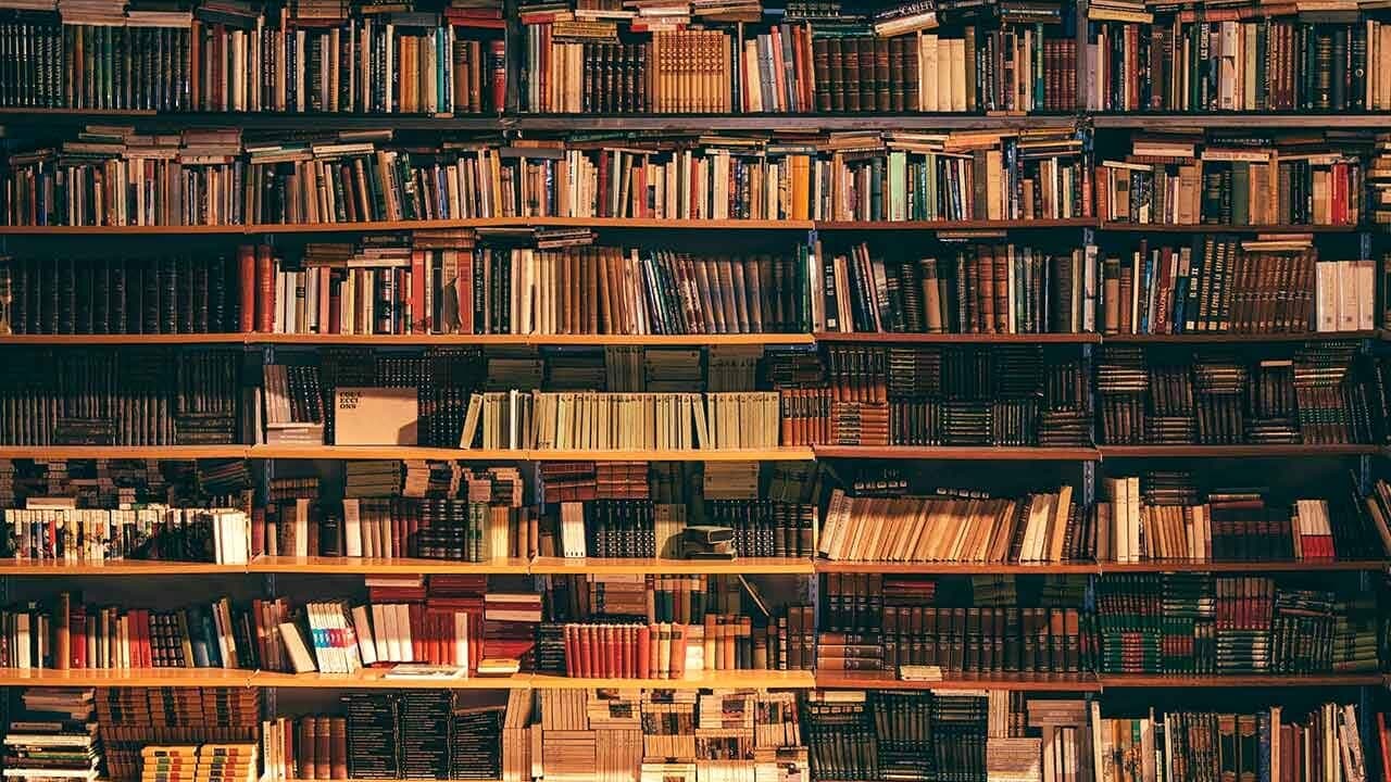 Aziende di Pordenone aprono le porte ai libri: nascono biblioteche nei luoghi di lavoro