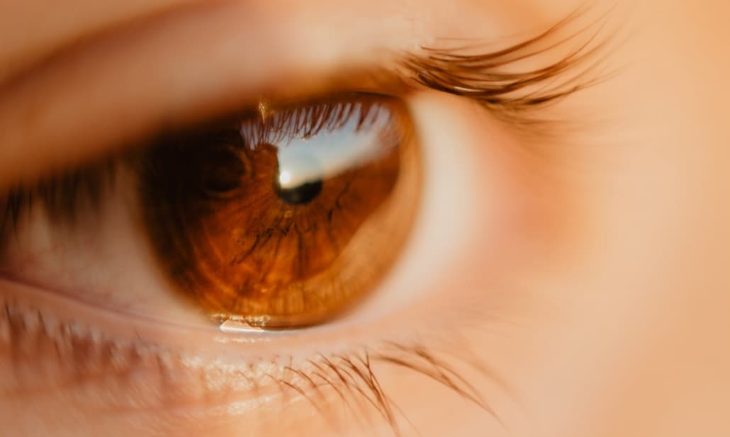 Progressi significativi dell'optogenetica in una patologia retinica